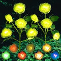 Magic Hue Solar Rose Lights
