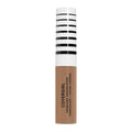 COVERGIRL TruBlend Undercover Concealer, T700 Caramel