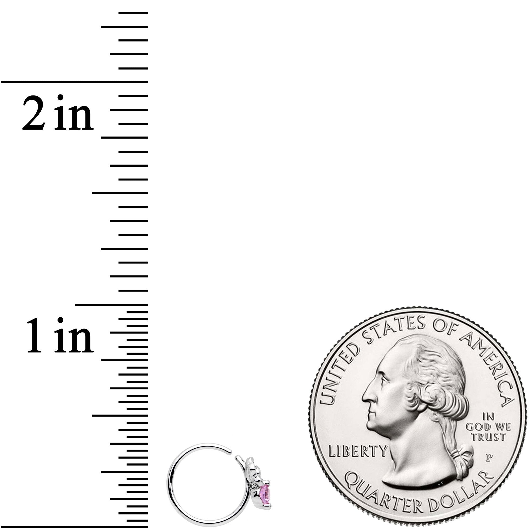20G 5/16 Pink Gem Flower Seamless Circular Ring