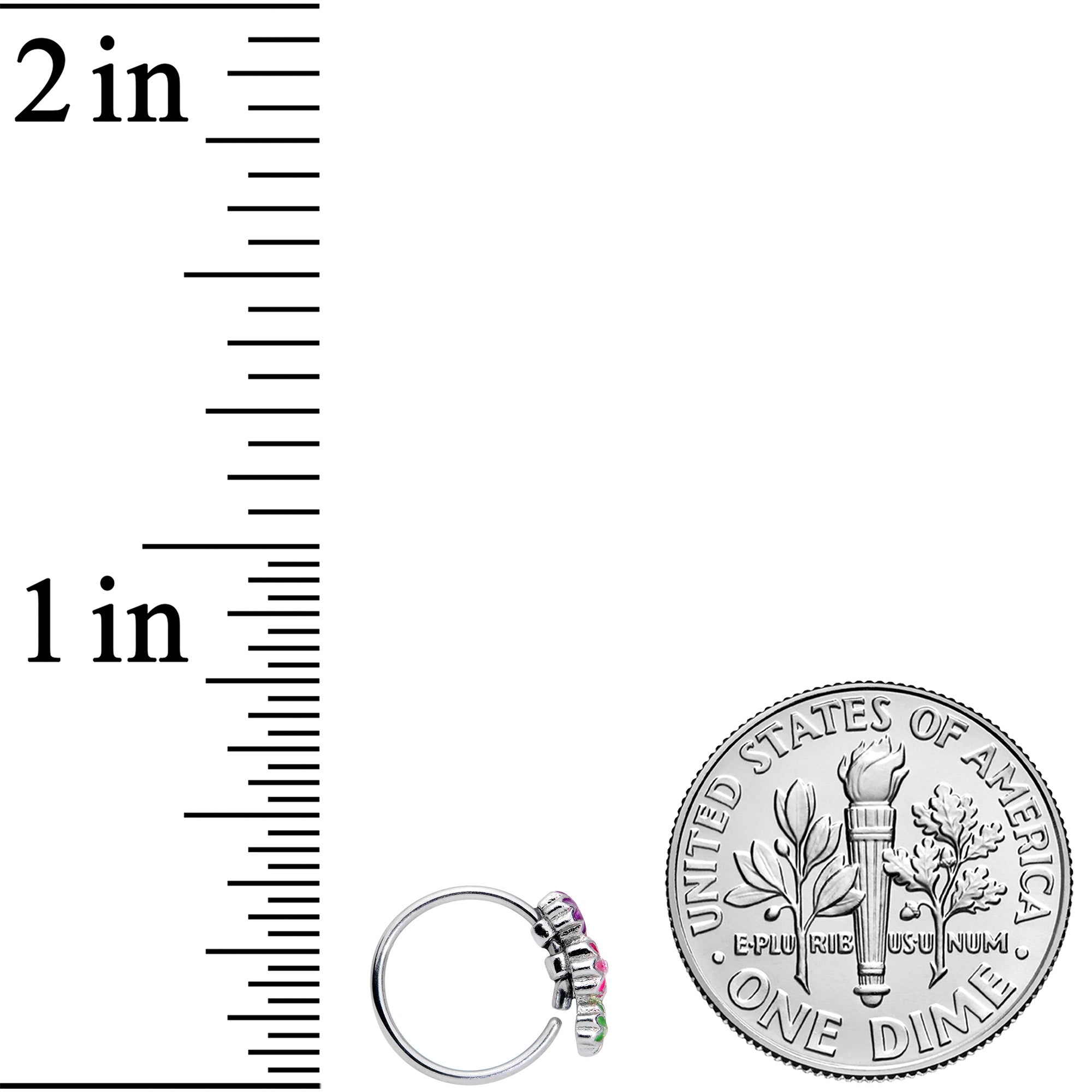 20G 5/16 Flower Patch Nose Hoop