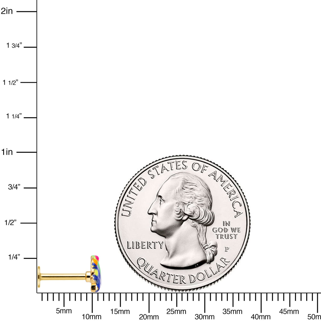 16G 5/16 Gold Tone Blue Shell Labret Monroe Tragus