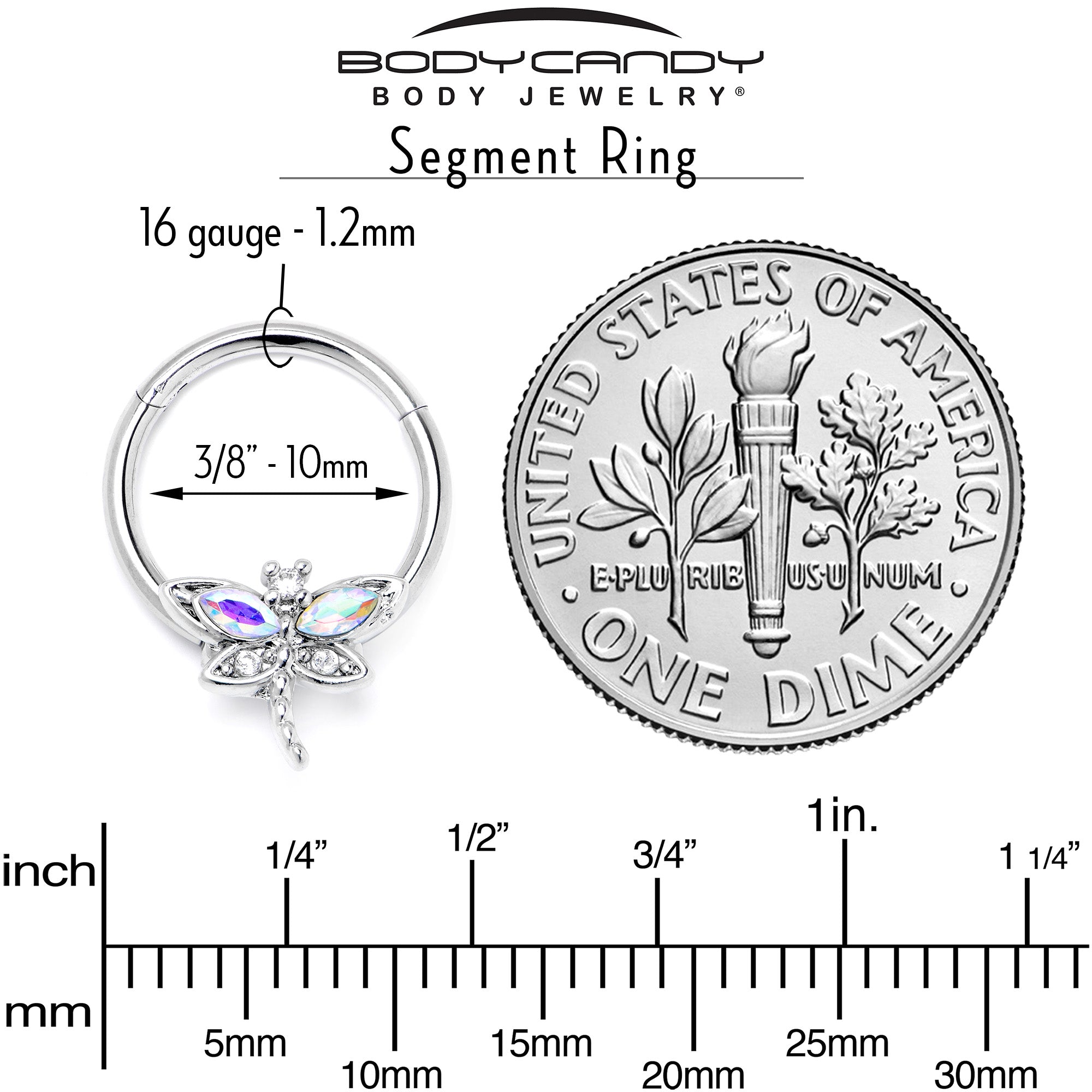 16G 3/8 Aurora CZ Gem Understated Dragonfly Hinged Segment Ring