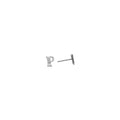 14k White Gold CZ Initial P Stud Earrings