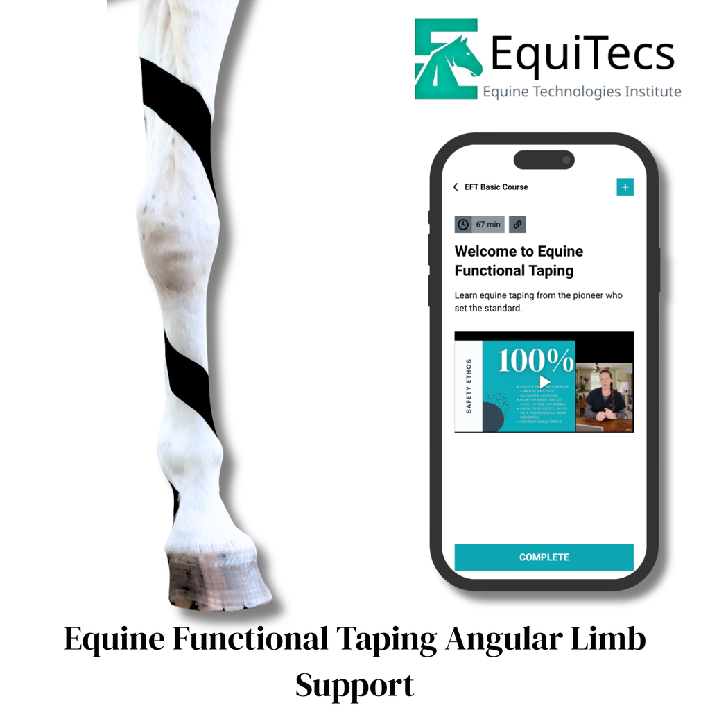 EFT Angular Limb Support