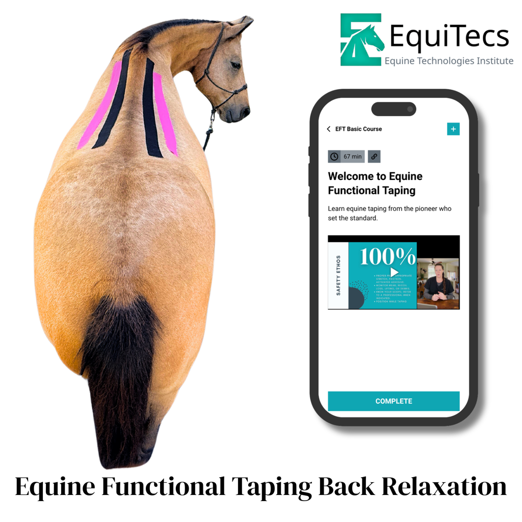 EFT Muscle Relaxation (Back)