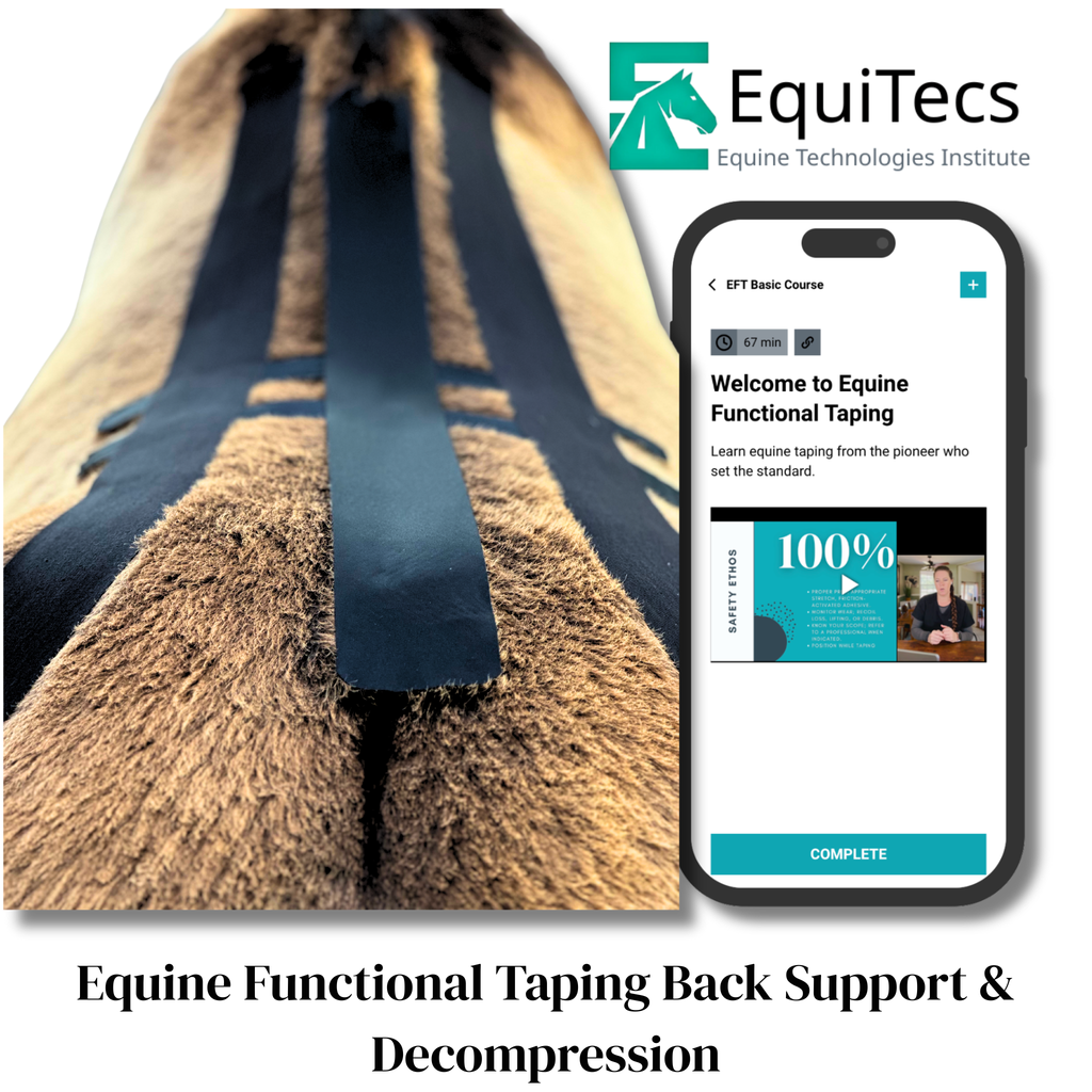 EFT Back Support & Decompression