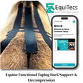 EFT Back Support & Decompression