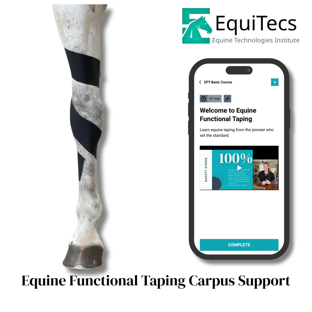 EquiTecs EFT Application Library - App