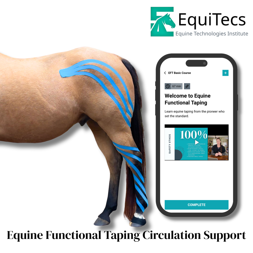 EFT Circulation Support