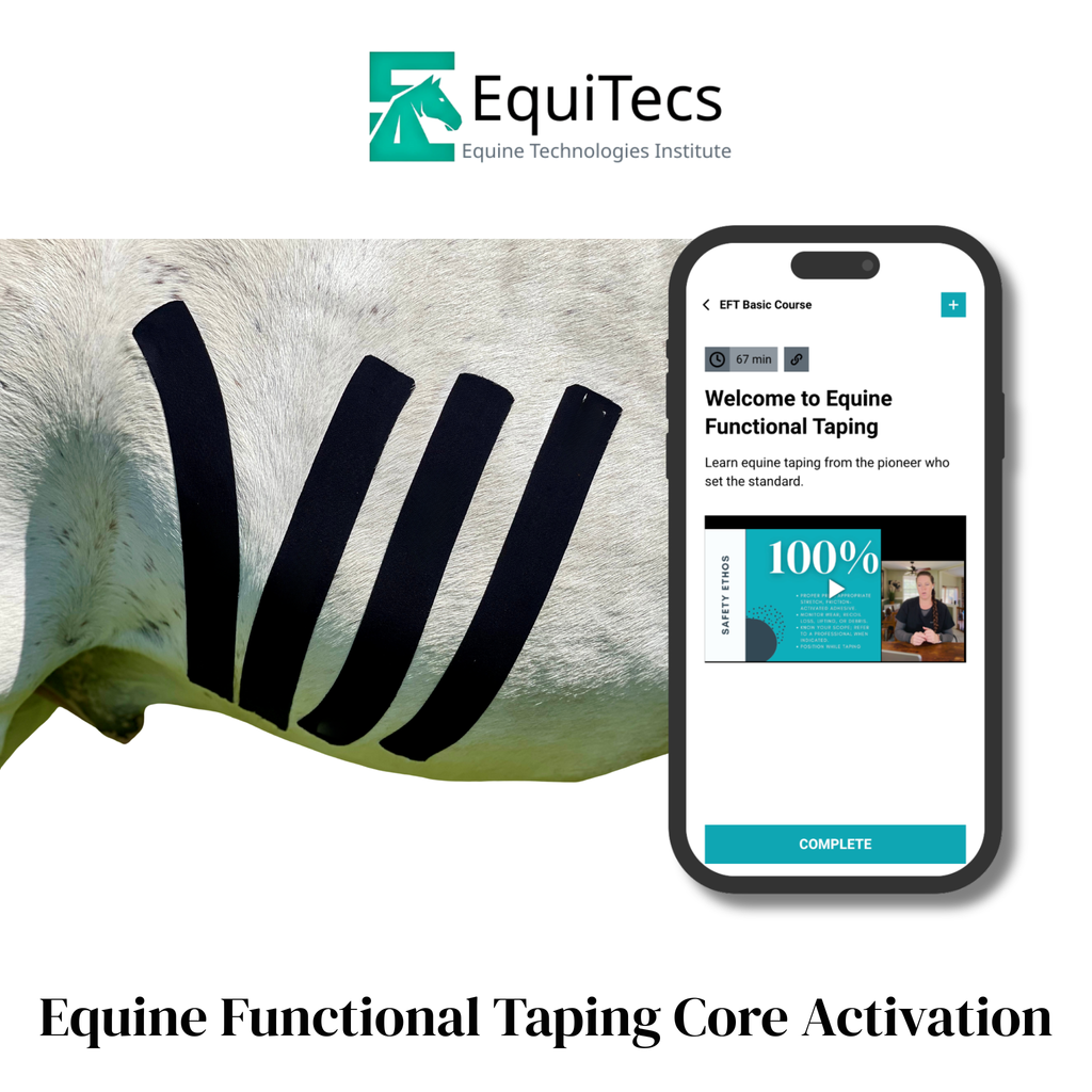 EFT Muscle Activation (Core)