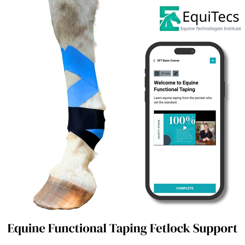 EFT Fetlock Support