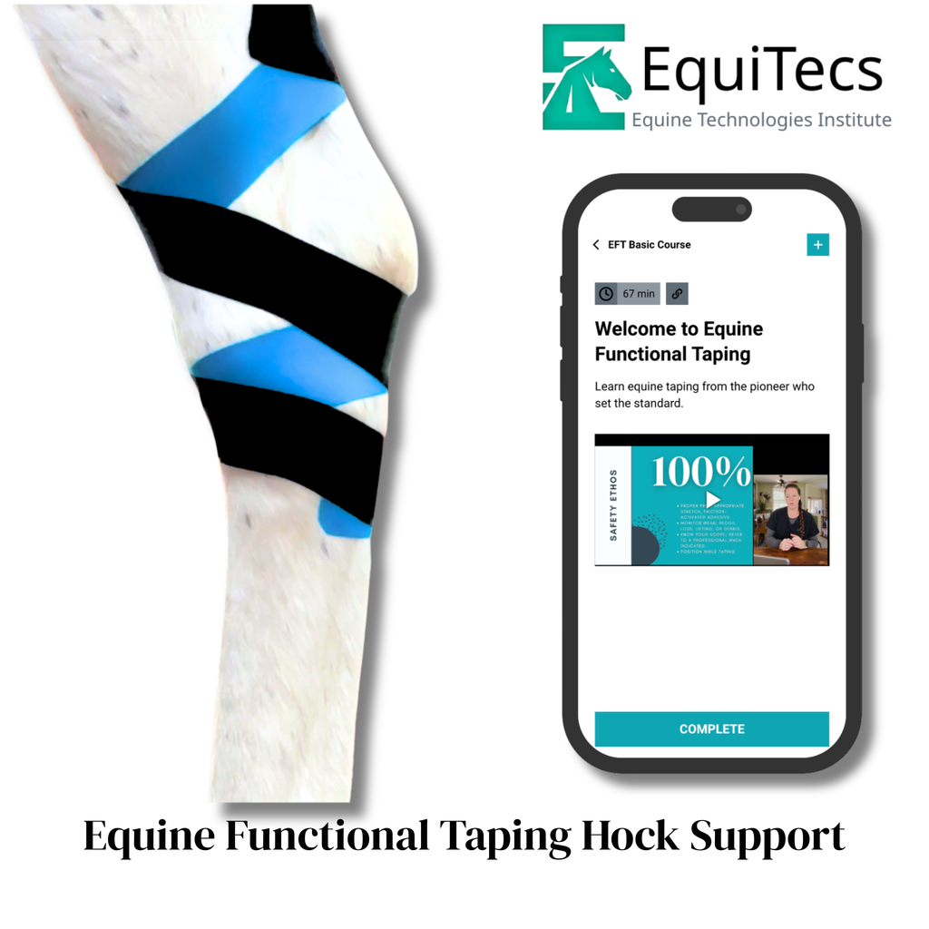 EFT Hock Support
