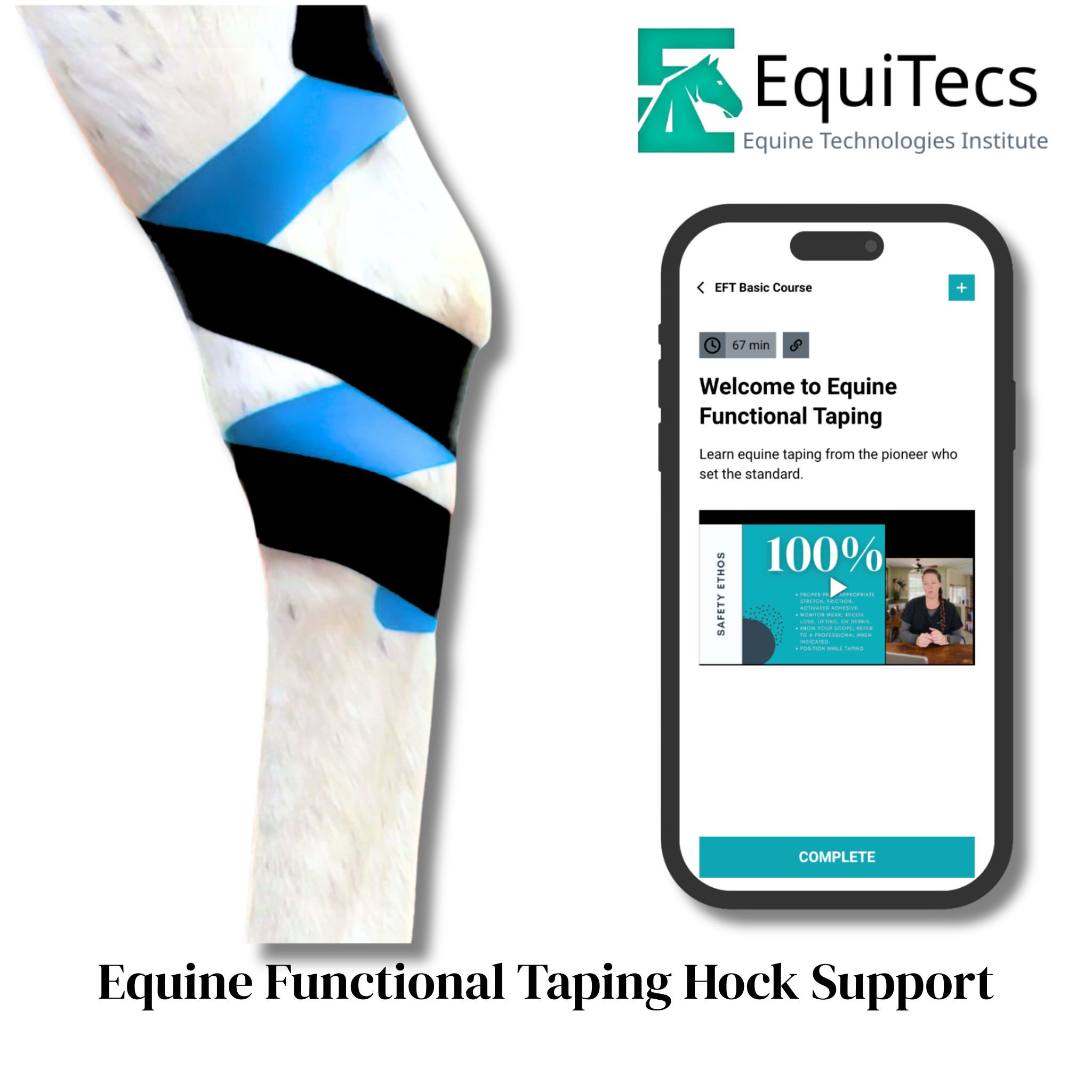 EFT Hock Support