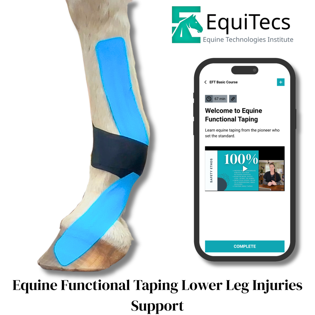 EFT Lower Leg Injuries Support
