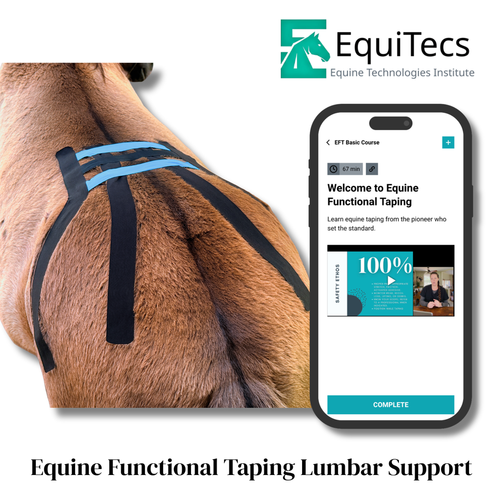 EFT Lumbar Support