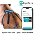 EFT Lumbar Support