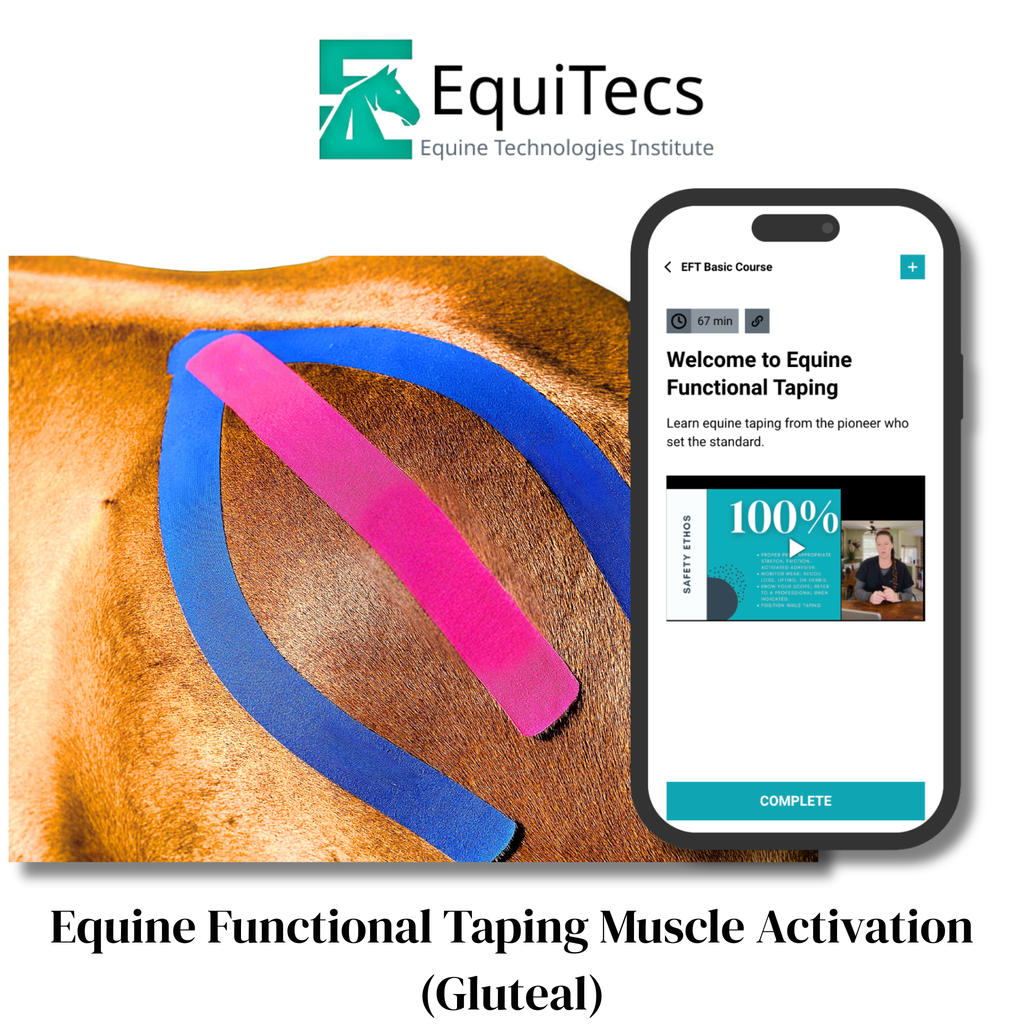 Muscle Activation (Gluteal)