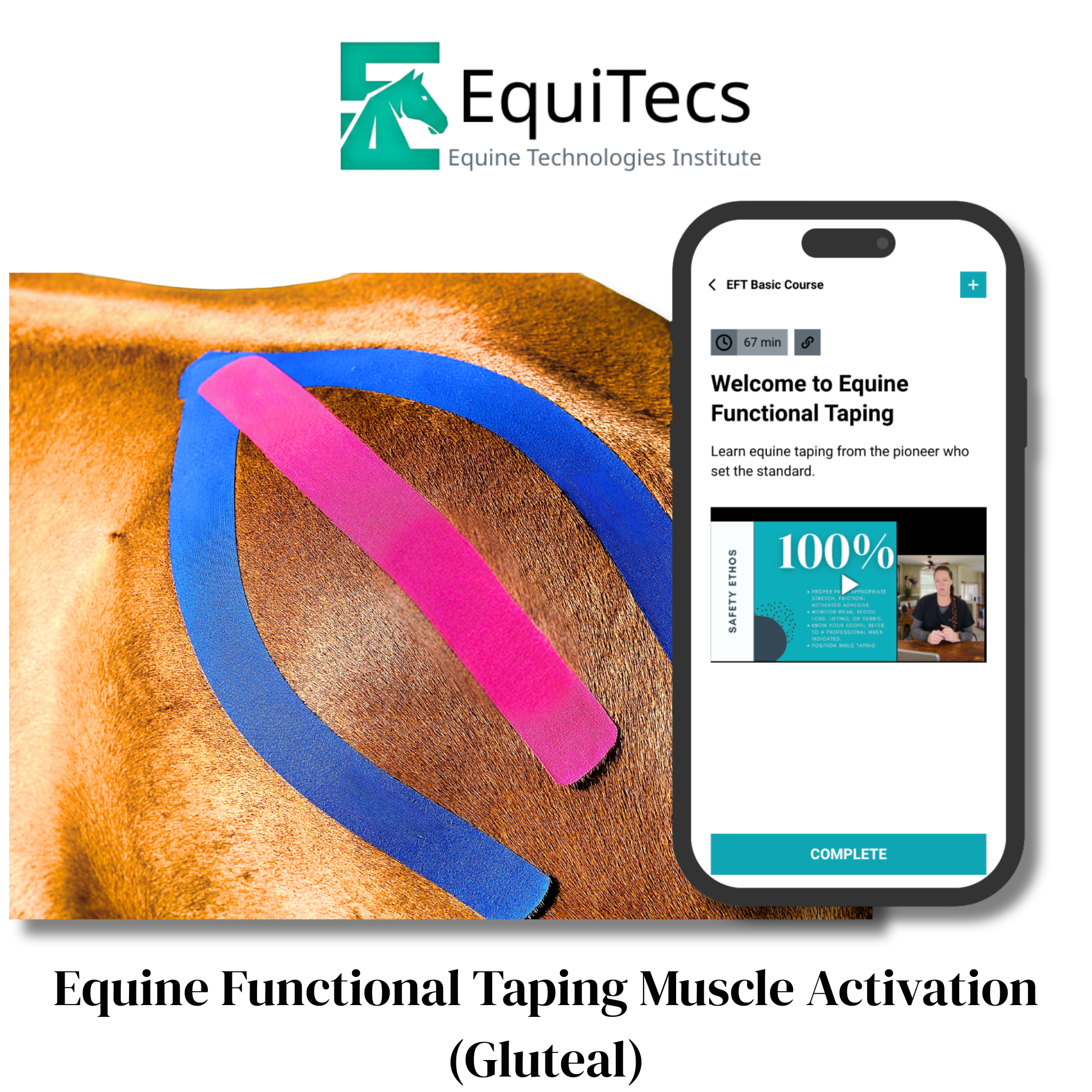 Muscle Activation (Gluteal)