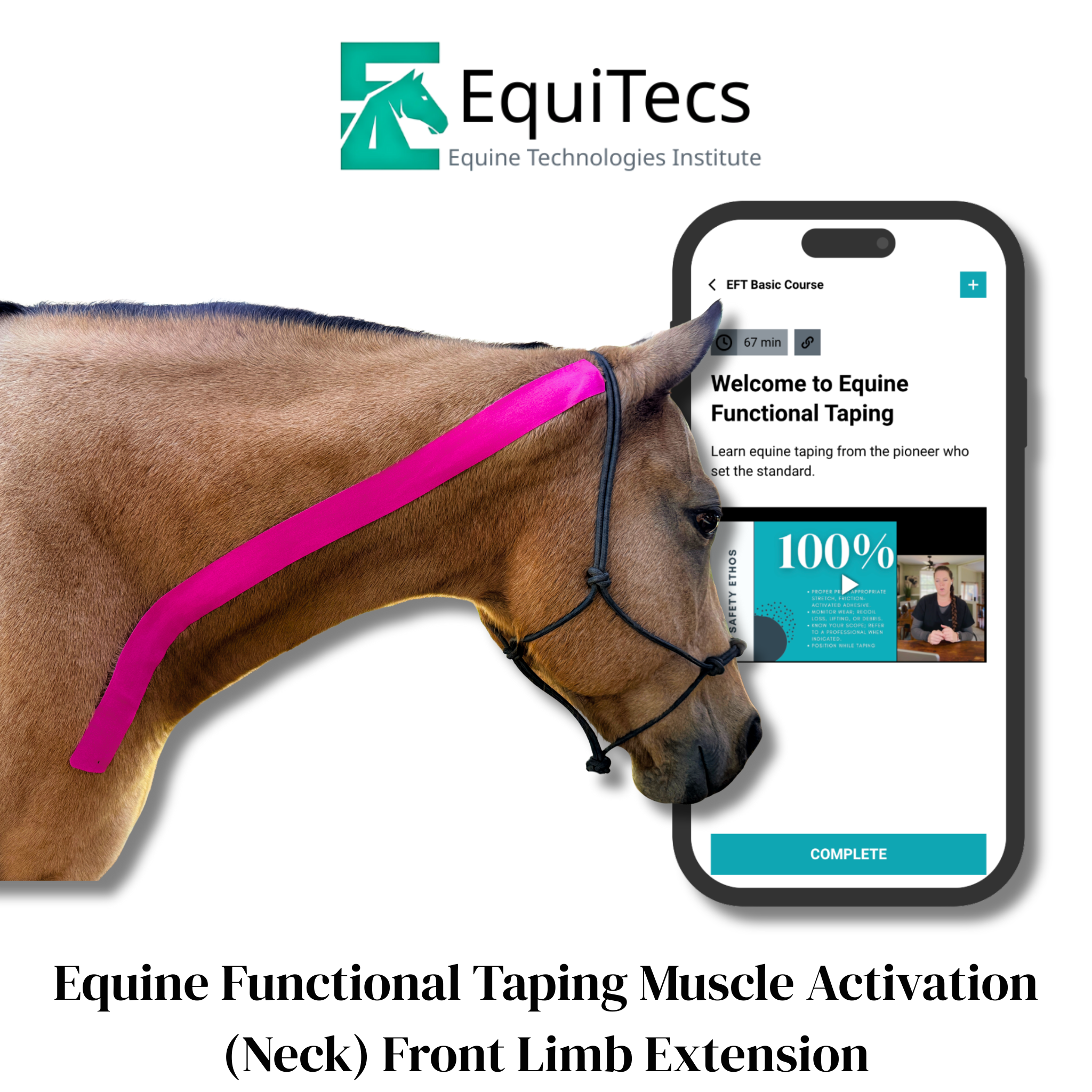 EFT Muscle Activation (Neck) Front Limb Extension