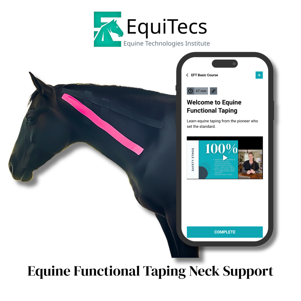 EFT Neck Support