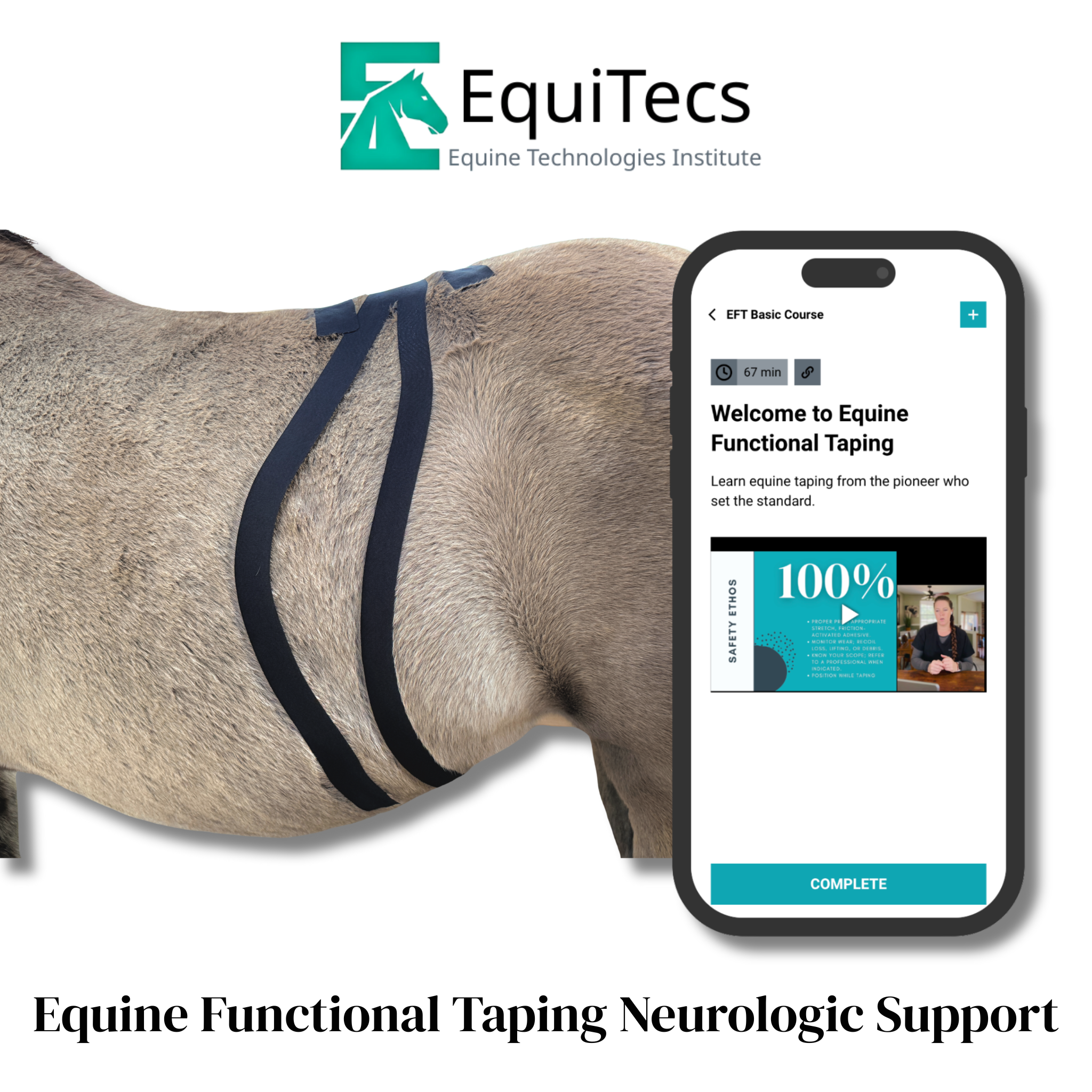 EFT Neurologic Support