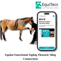 EFT Thoracic Sling Support