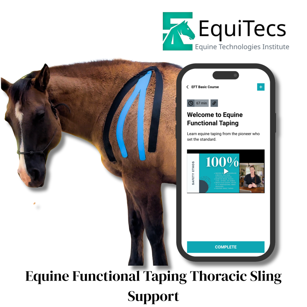 EquiTecs EFT Application Library - App