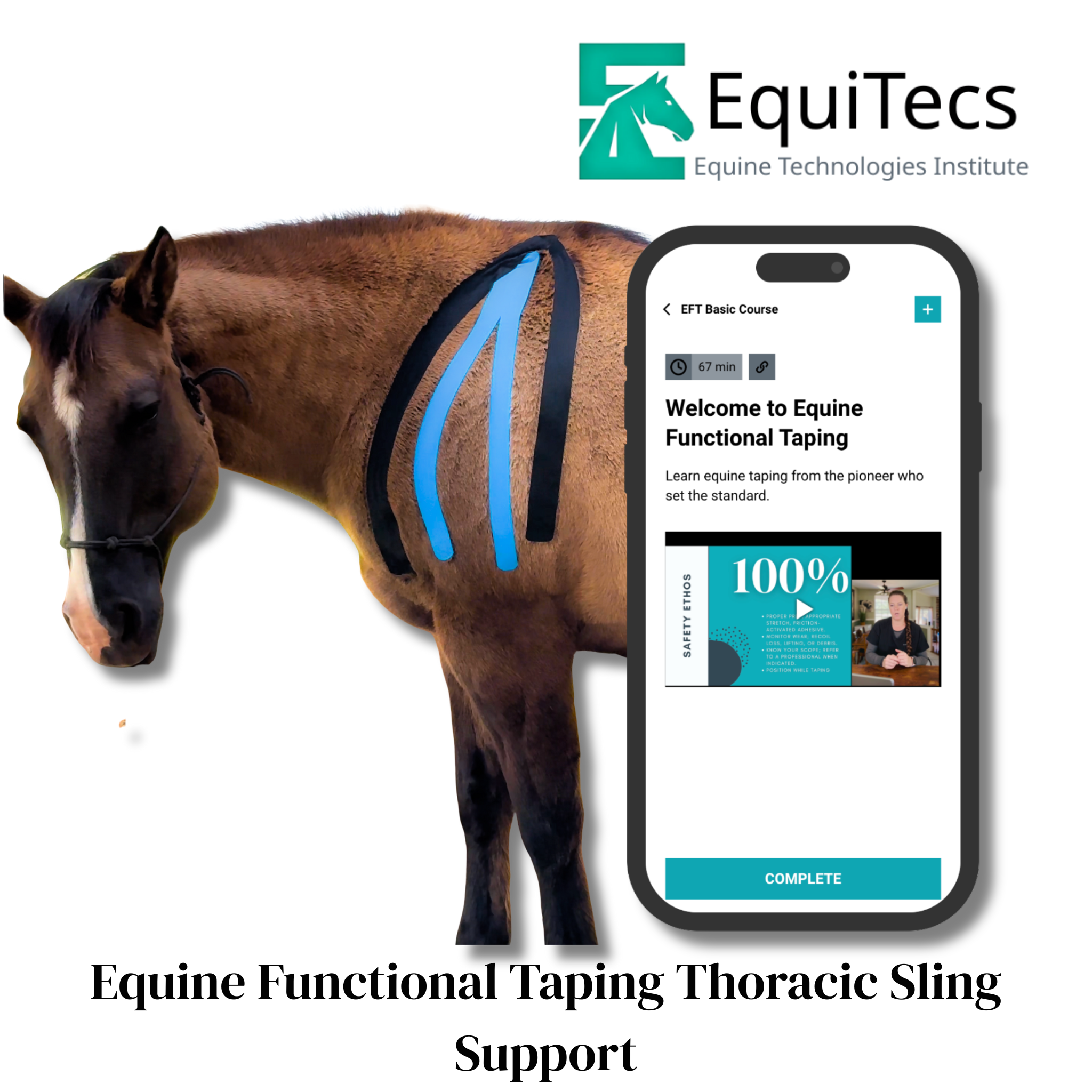 EquiTecs EFT Application Library - App