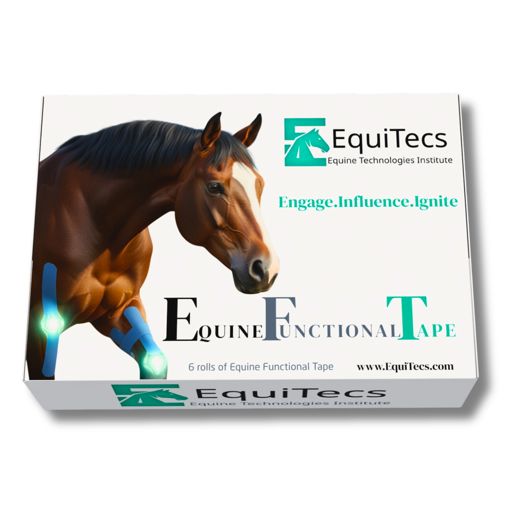 Horse Functional Taping Tape — 2-Way 2" Color Pack