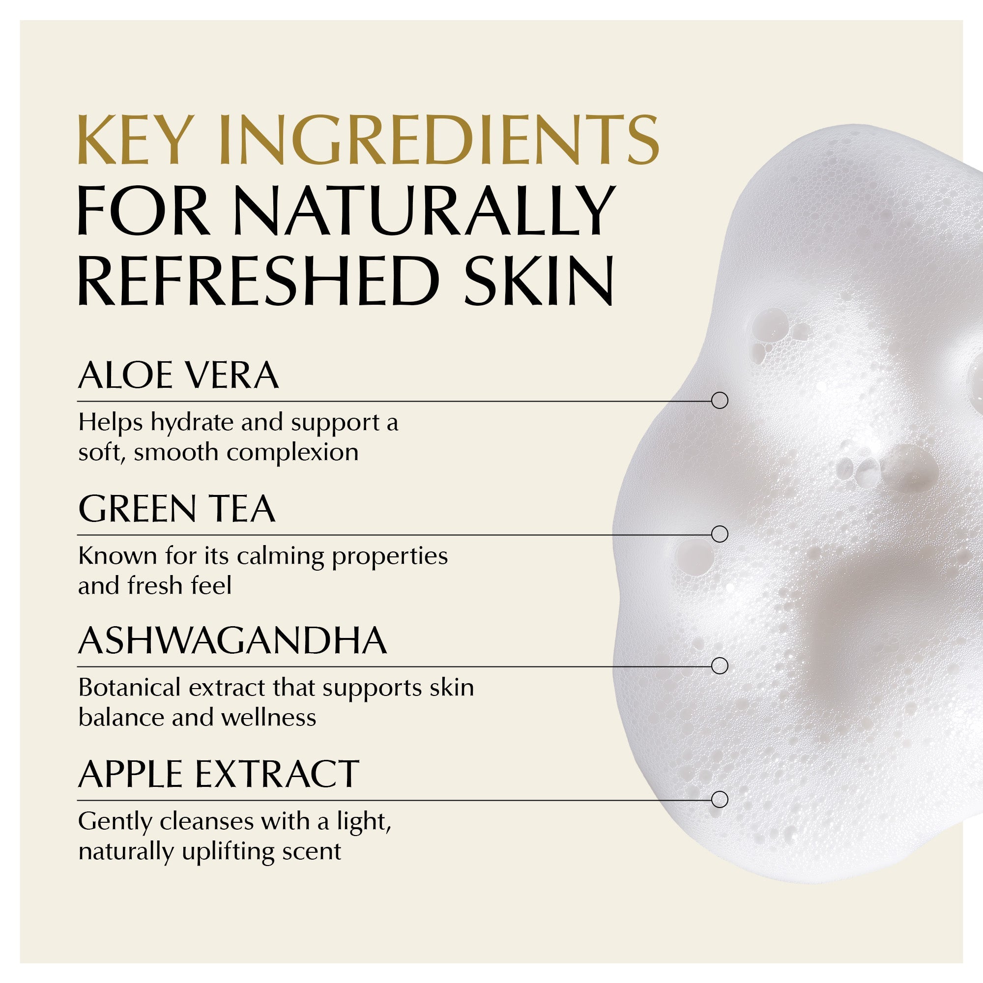 Gluten-Free Foaming Face Wash – Nut-Free, Vegan Cleanser with Aloe & Ashwagandha