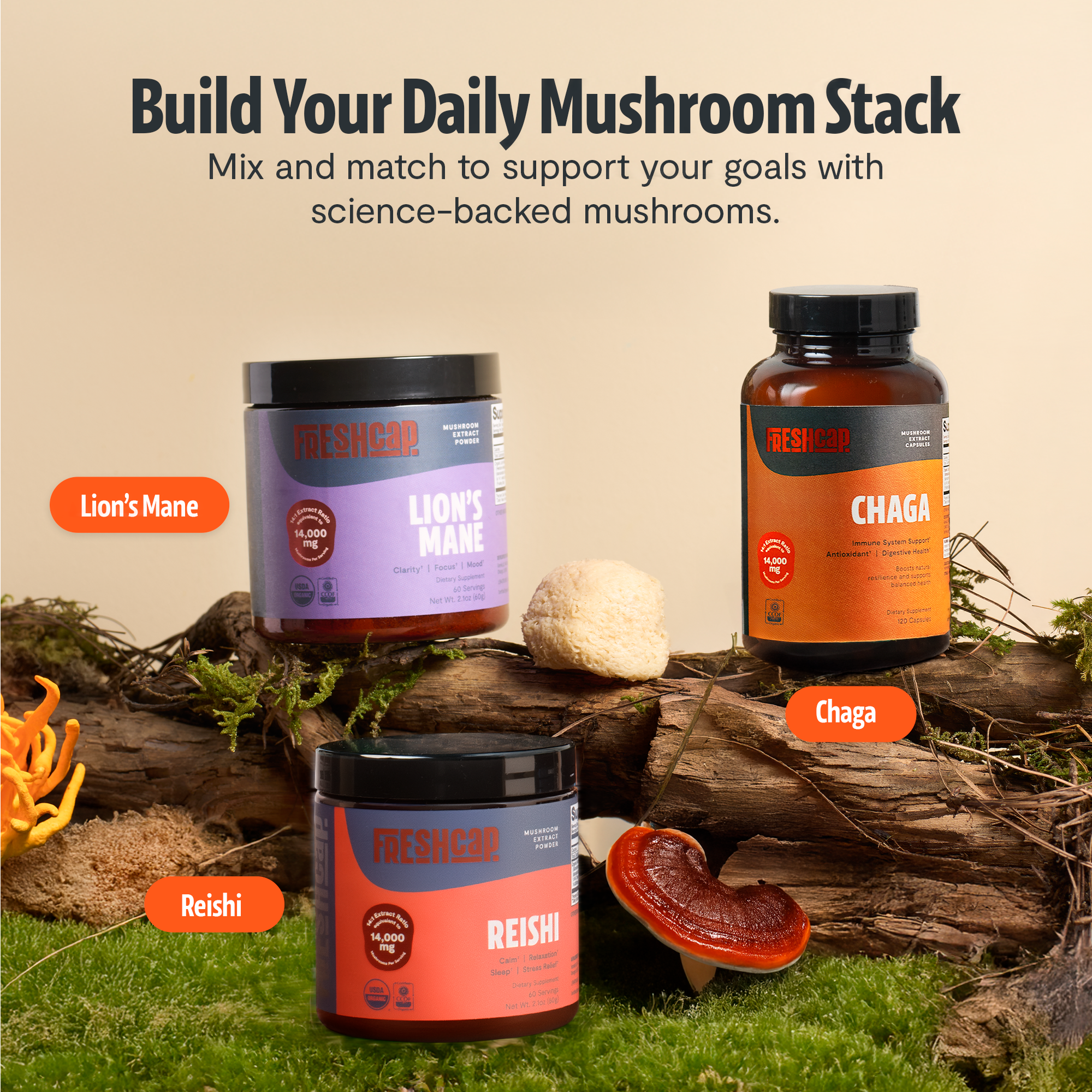 Chaga Mushroom Extract Capsules