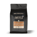 Harvest - Pumpkin Spice - Naturally Flavored