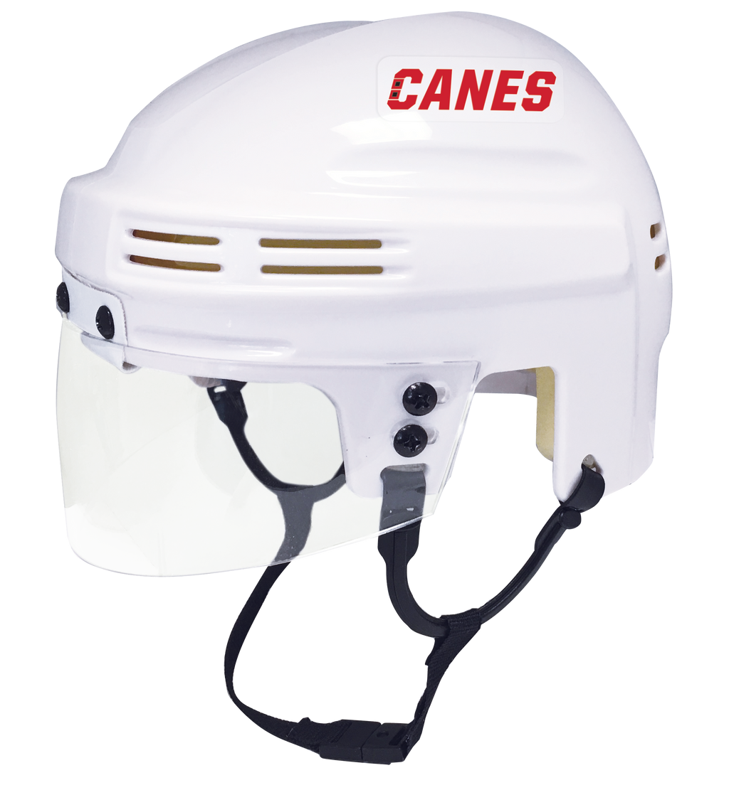 Carolina Hurricanes - NHL Collectible Mini Helmet - Picture Inside - FANZ Collectibles