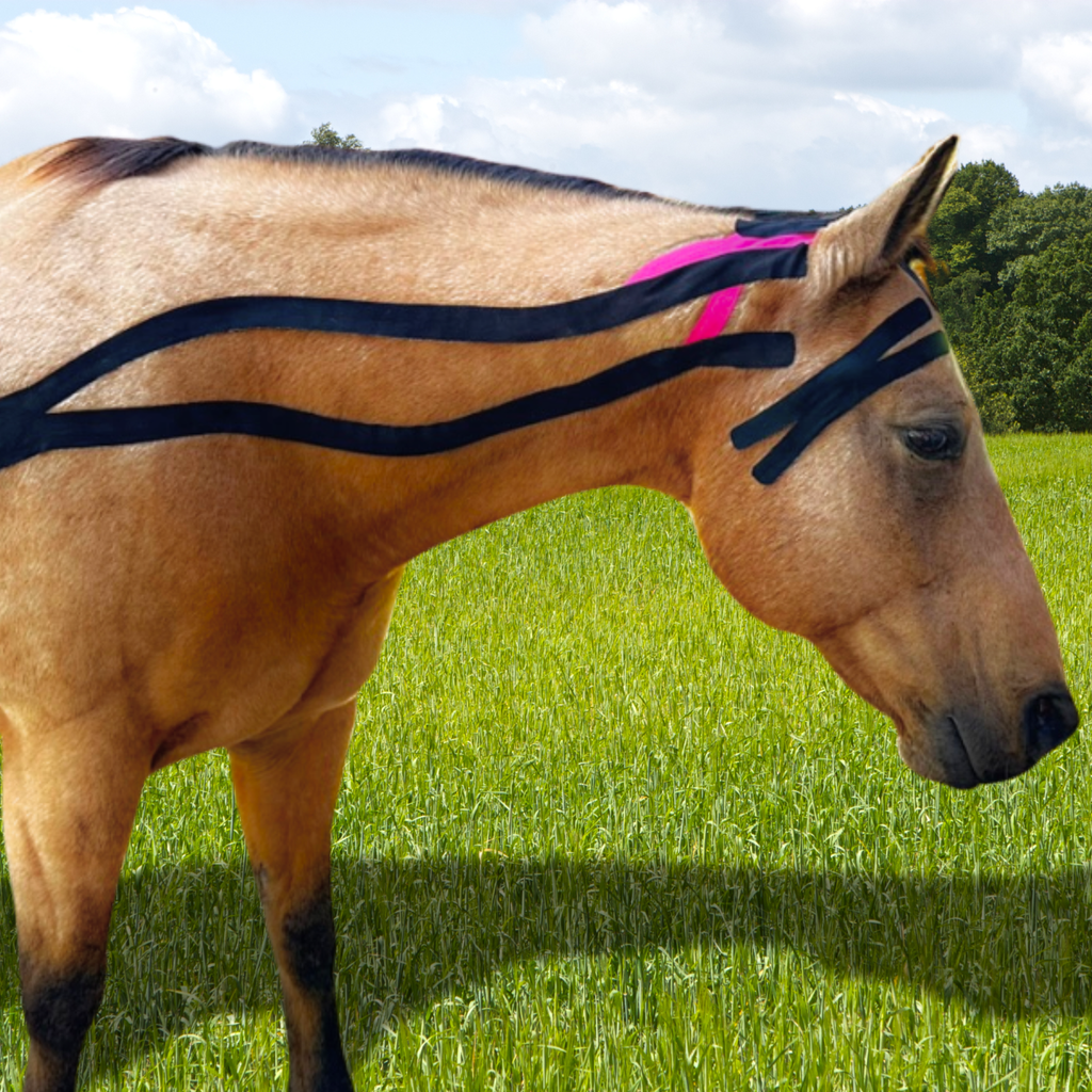 Horse Functional Taping Tape — 2-Way 3" Single Roll