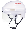 Detroit Red Wings - NHL Collectible Mini Helmet - Picture Inside - FANZ Collectibles