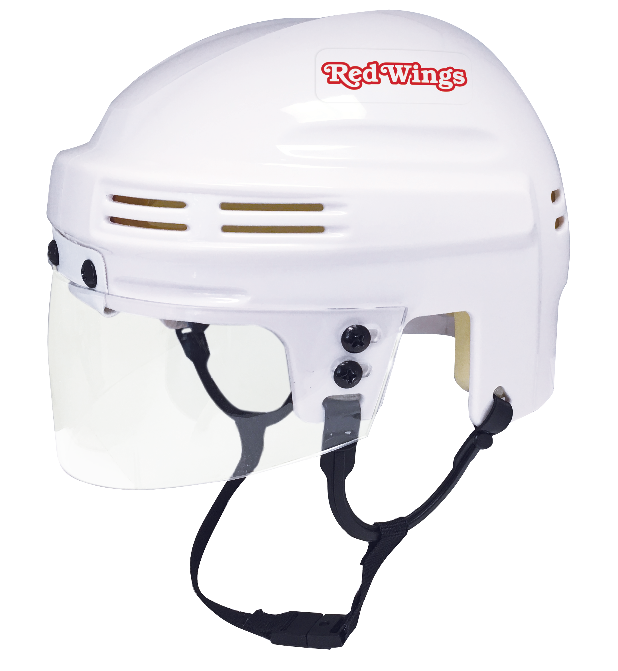 Detroit Red Wings - NHL Collectible Mini Helmet - Picture Inside - FANZ Collectibles