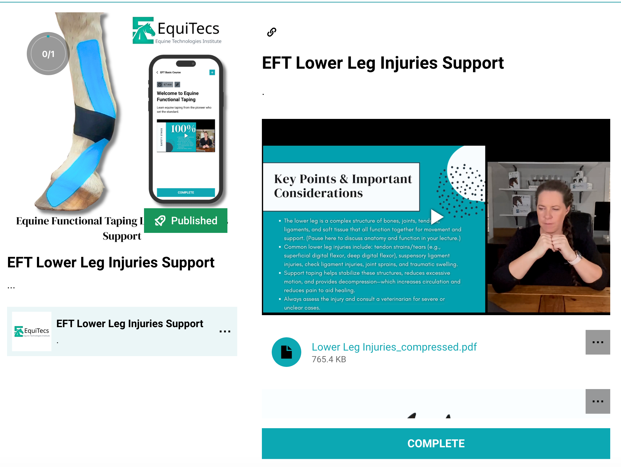 EFT Lower Leg Injuries Support