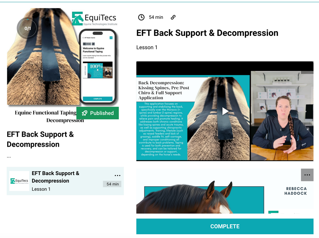EFT Back Support & Decompression