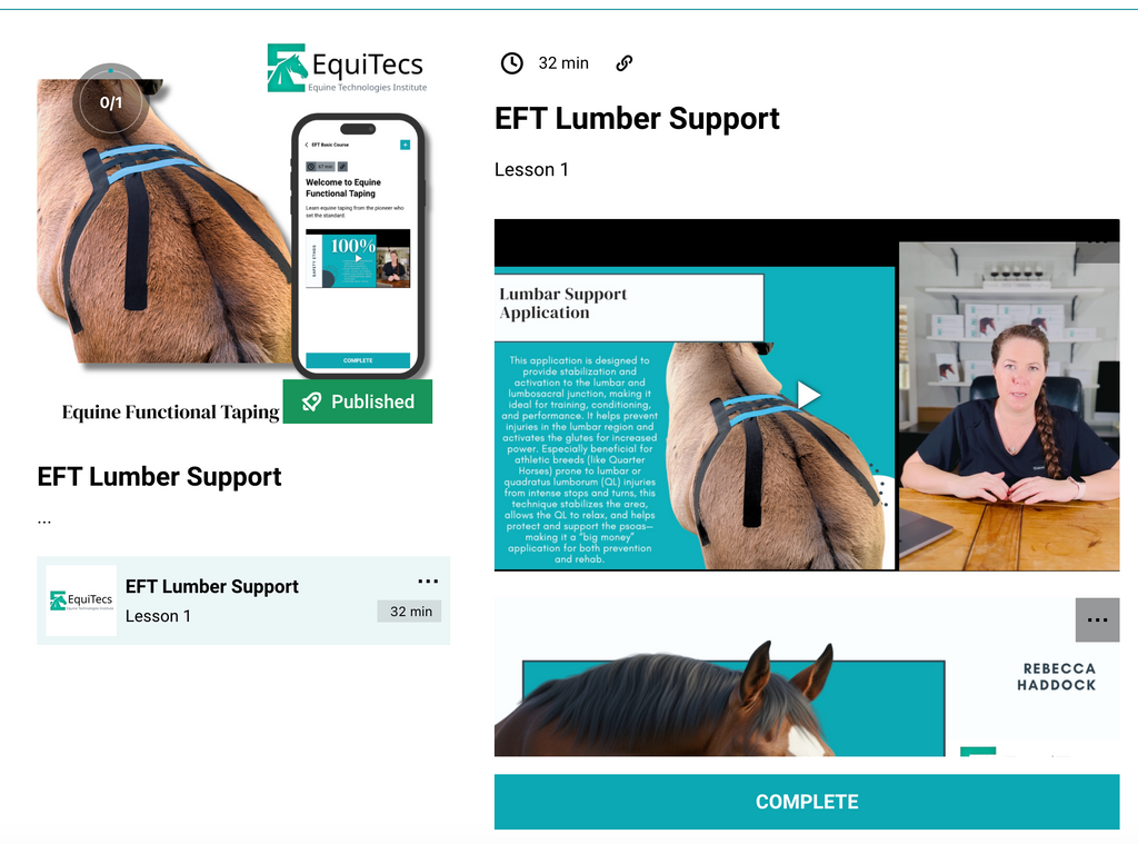 EFT Lumbar Support