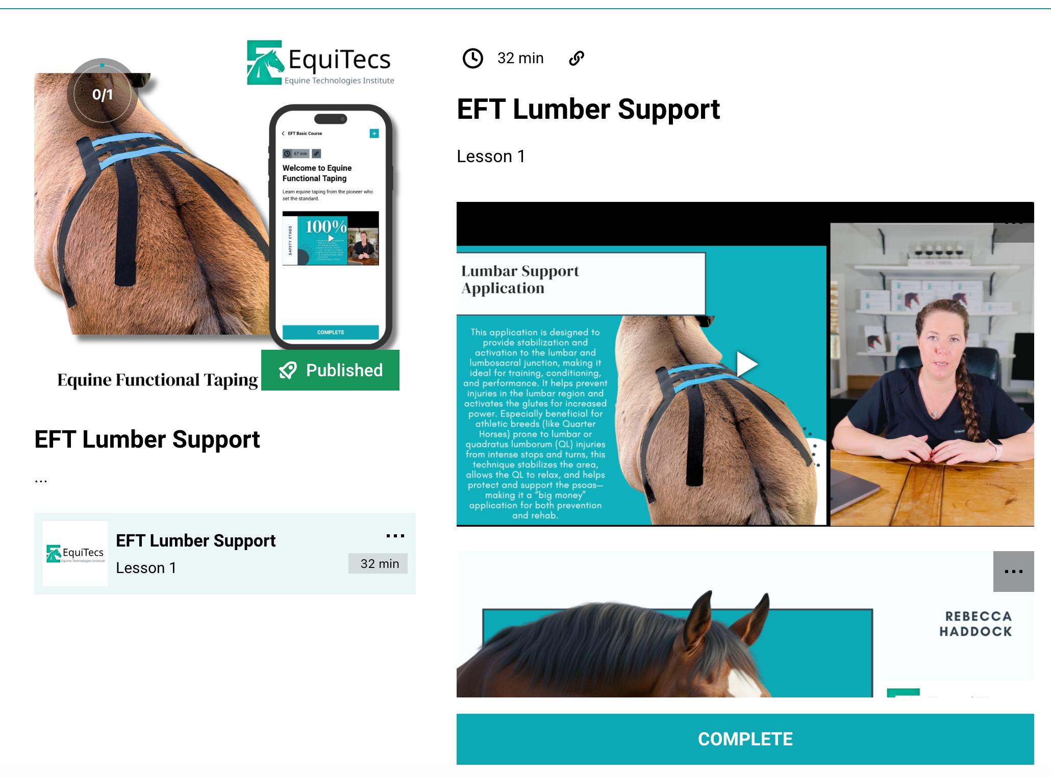 EFT Lumbar Support