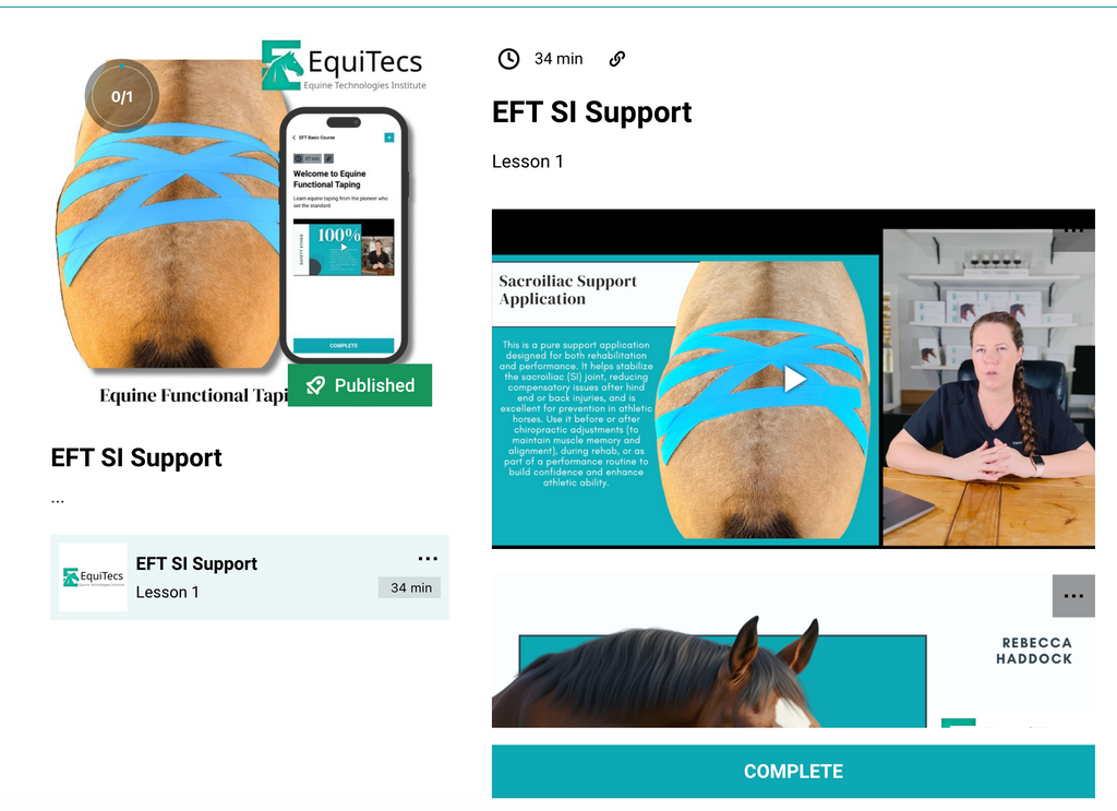 EFT SI Support
