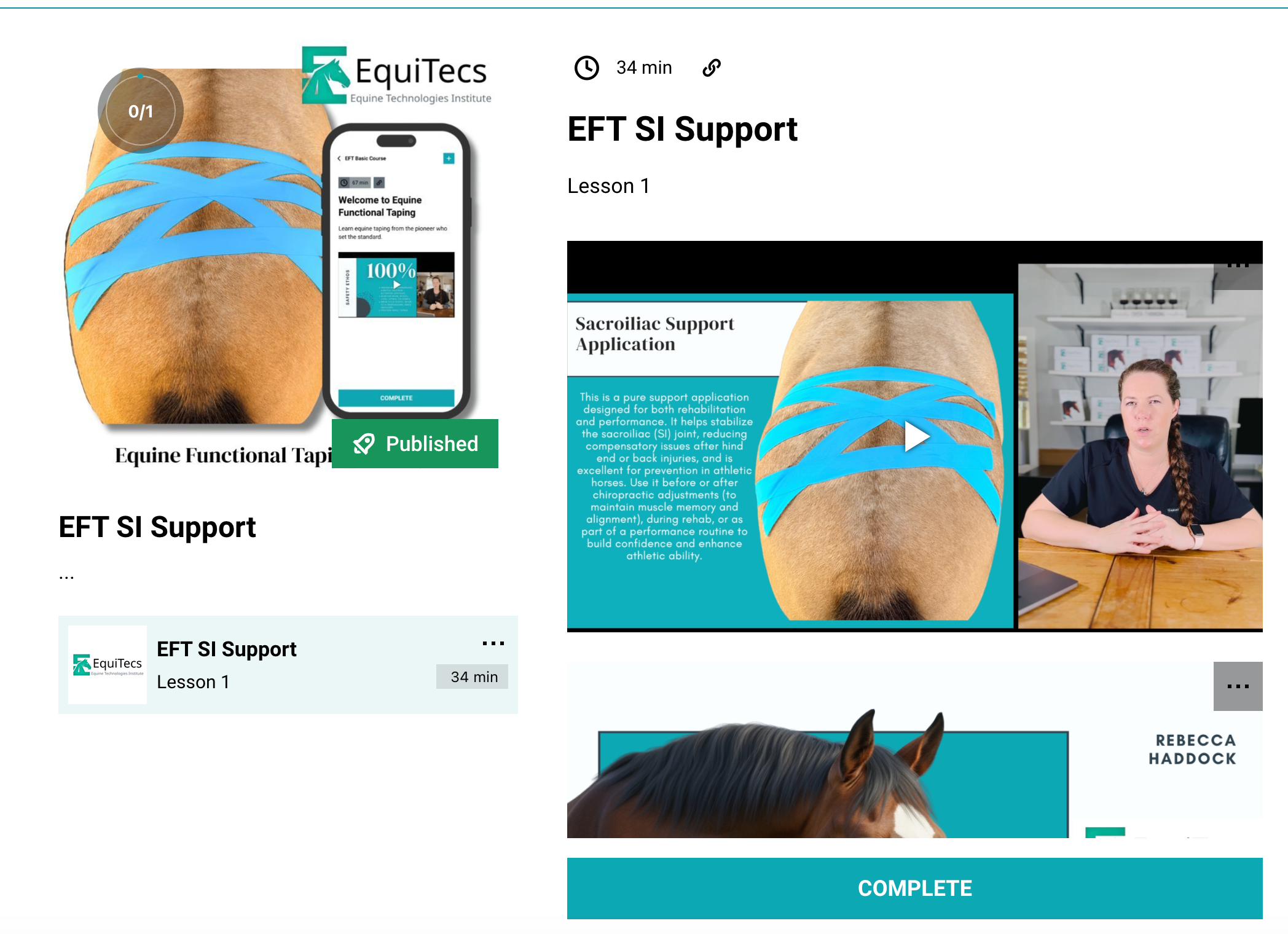 EFT SI Support