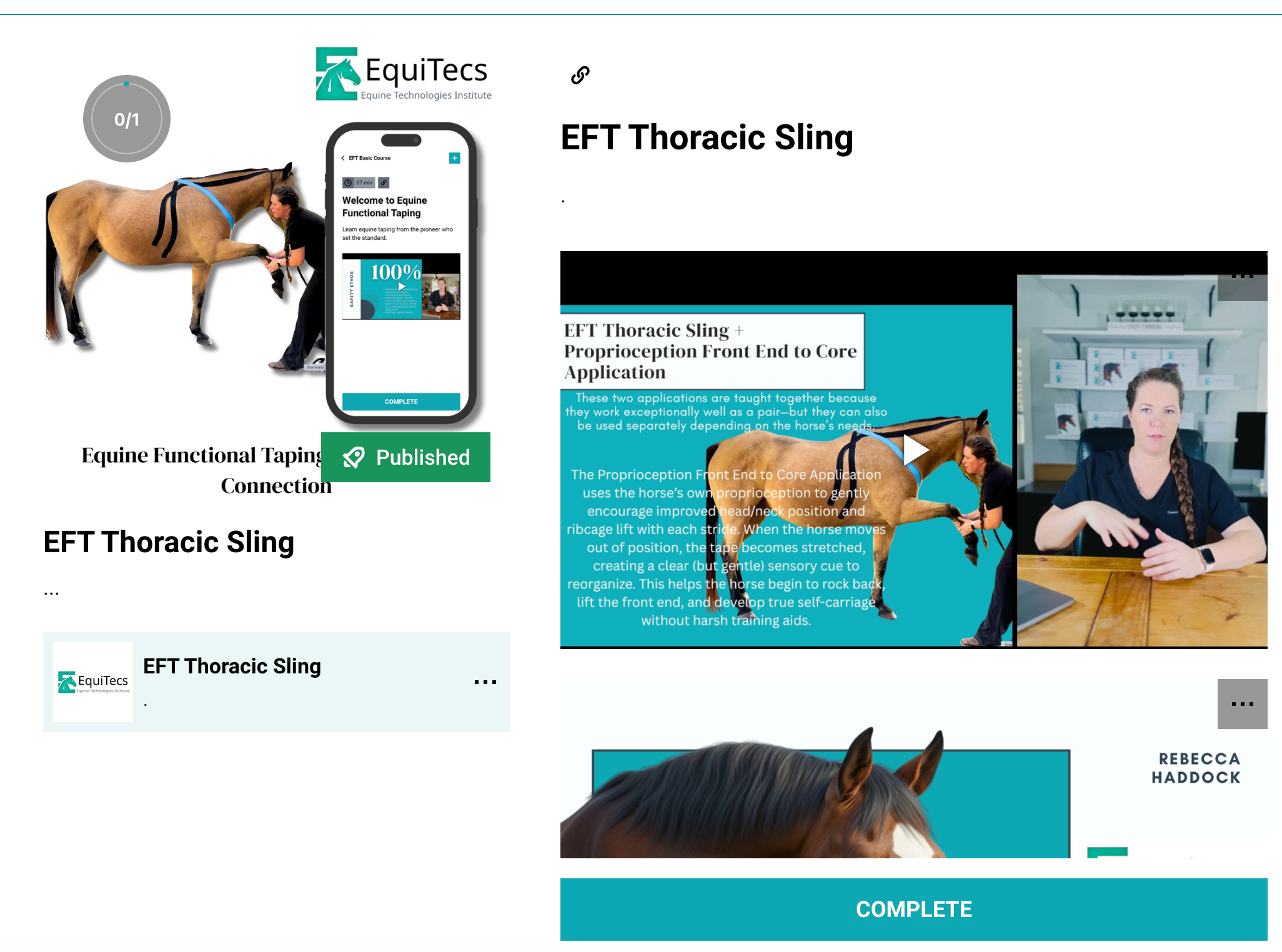EFT Thoracic Sling Support