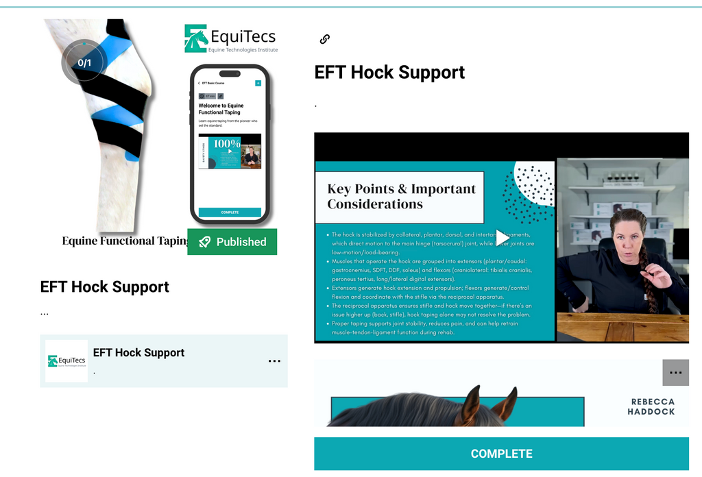 EFT Hock Support