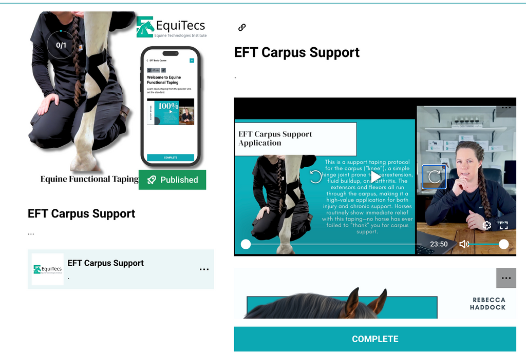 EFT Carpus Support