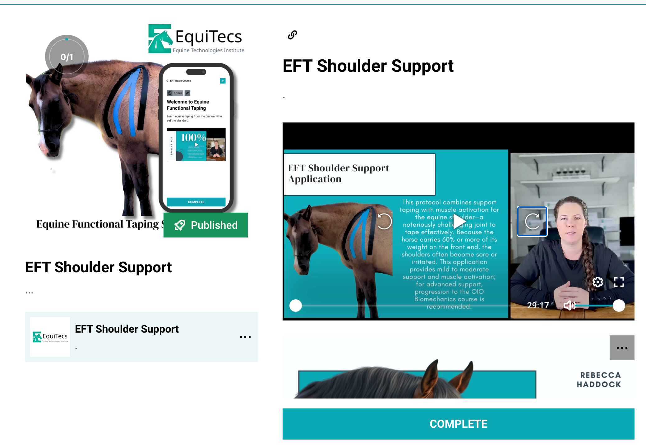 EFT Shoulder Support