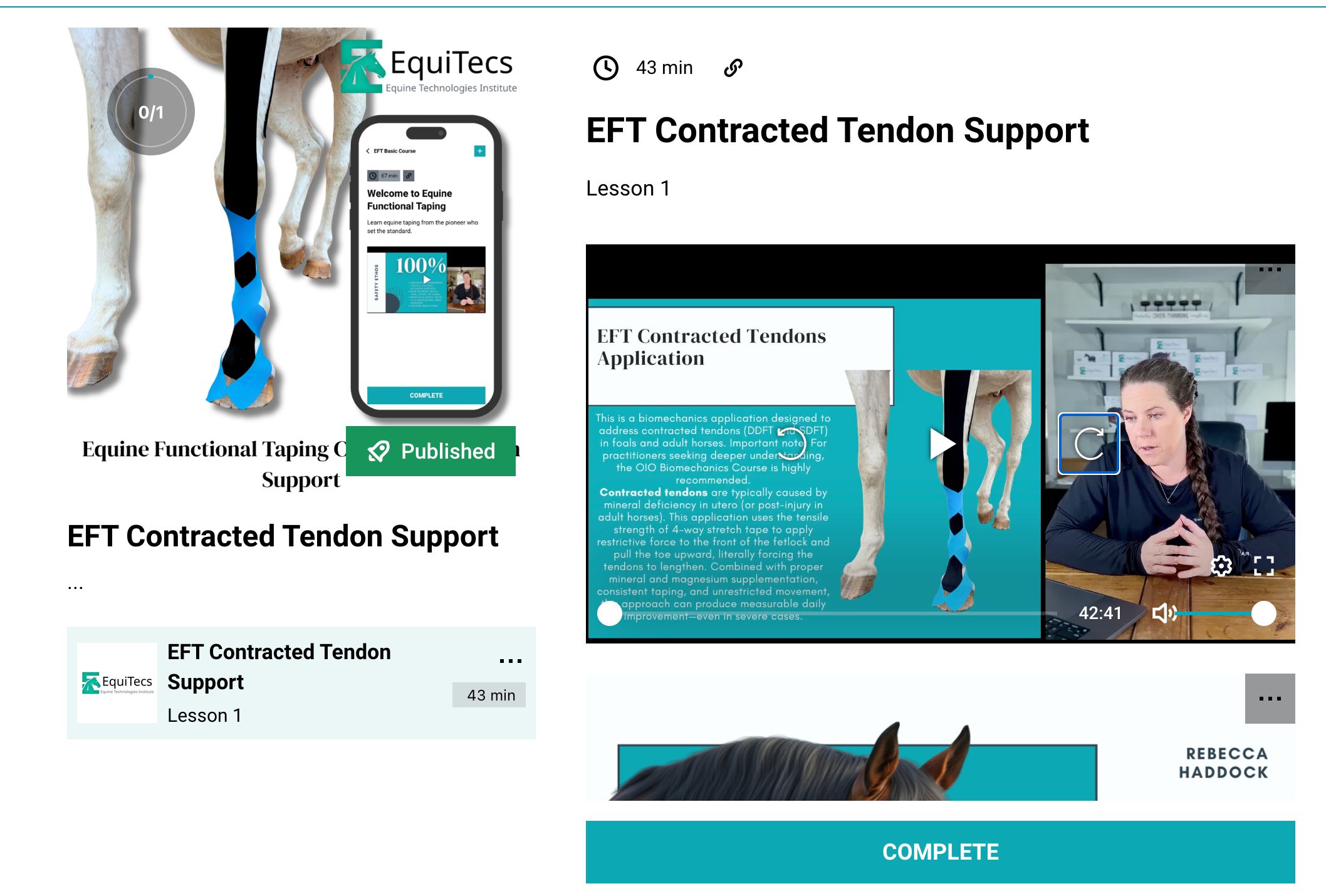 EFT Contracted Tendon Support