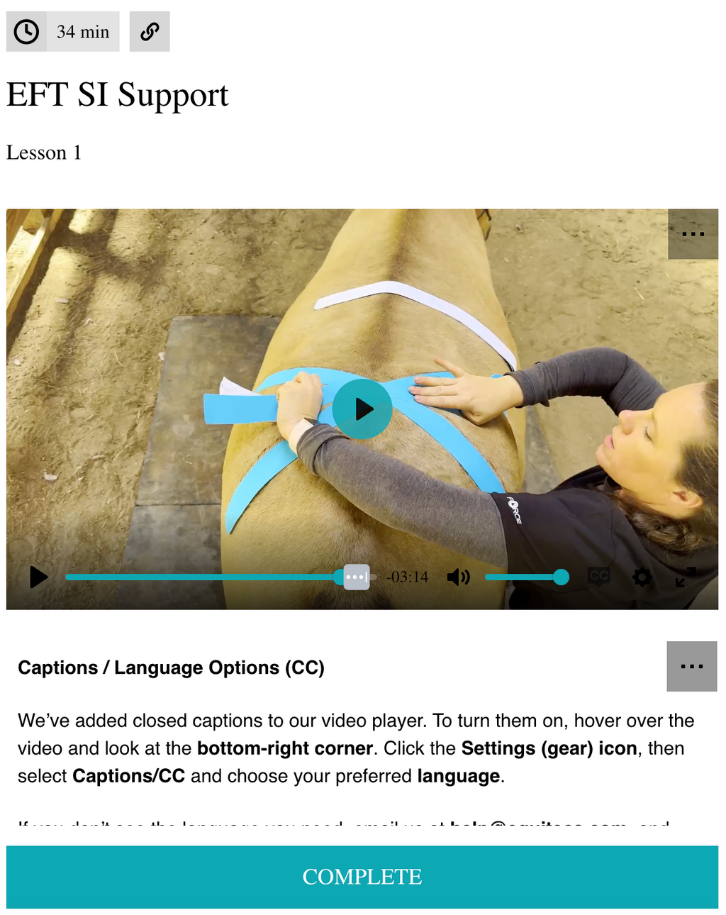 EFT SI Support
