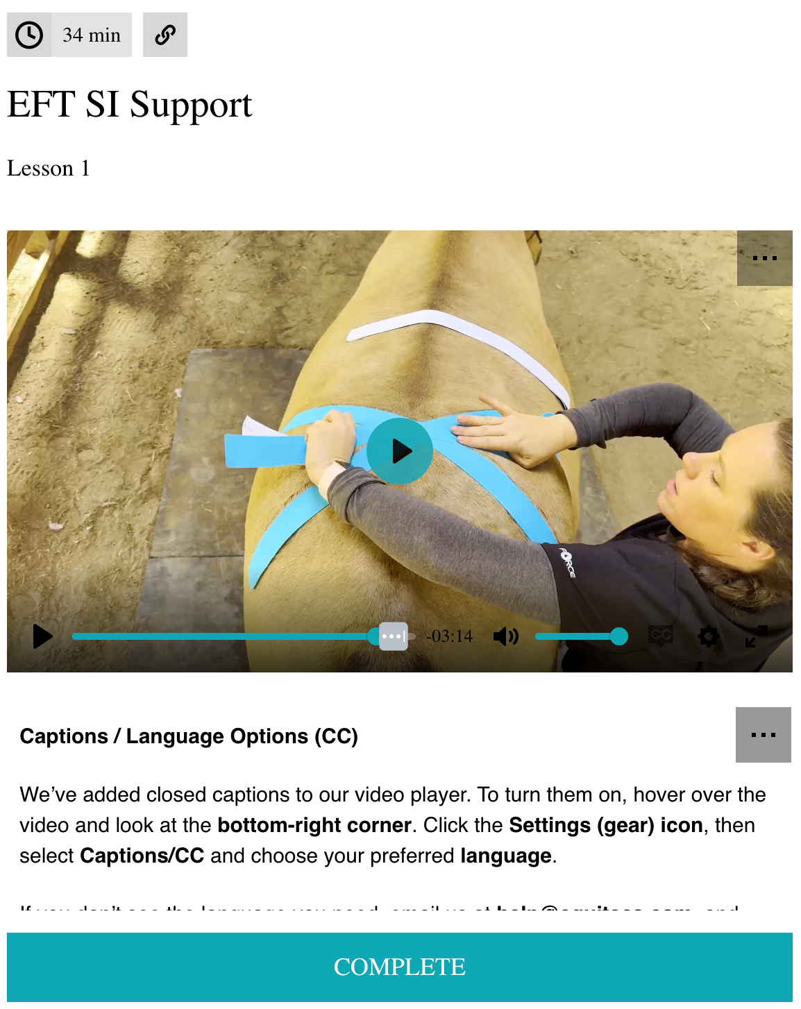 EFT SI Support