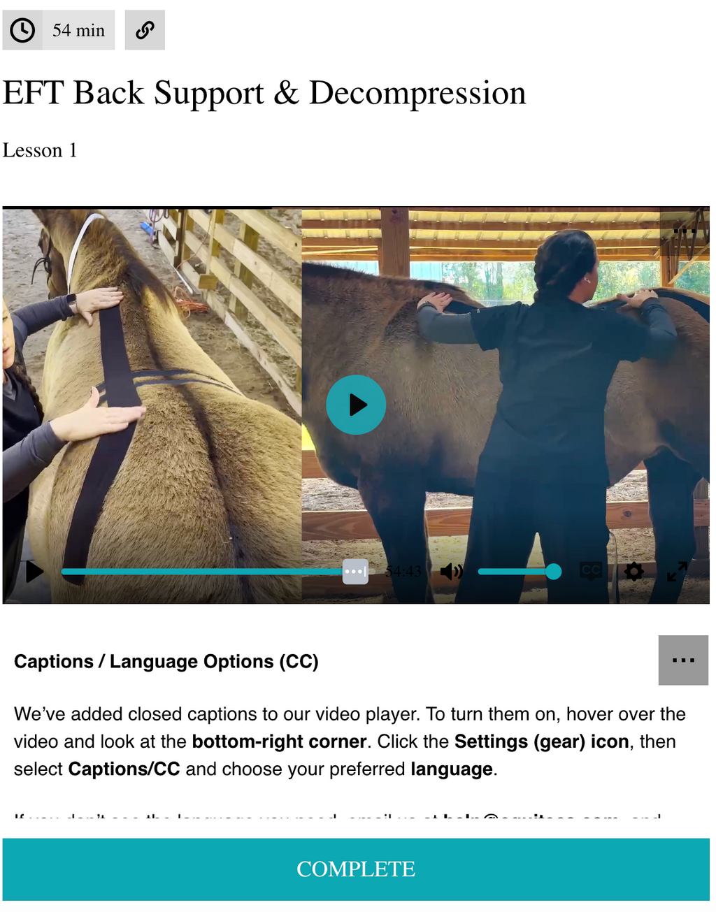 EFT Back Support & Decompression